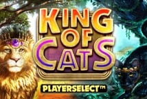King of Cats Logo