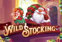 Wild Stocking Logo
