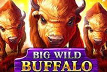 Wild Buffalo