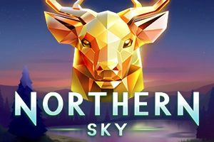 Northern Sky