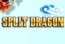 Split Dragon Logo