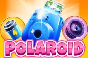 Polaroid Logo