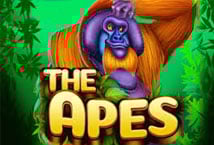 The Apes Logo