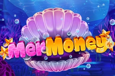 MerMoney Logo