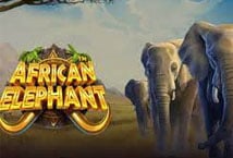 African Elephant Logo