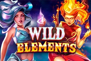 Wild Elements Logo