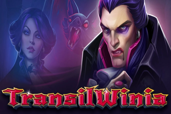 TransilWinia Logo