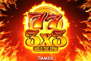 3X3 Hold The Spin Logo