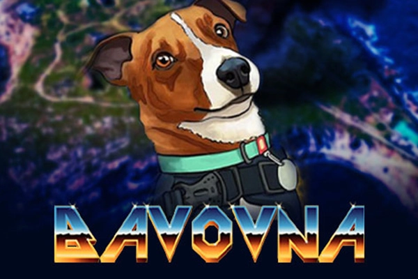 Bavovna Logo