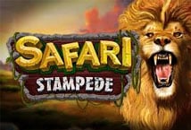 Safari Stampede Logo