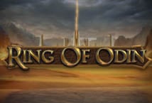 Ring of Odin Logo