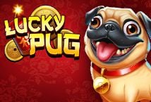 Lucky Pug Logo