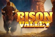 Bison Valley Logo