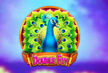 Double Fly Logo