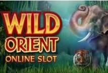 Wild Orient Logo