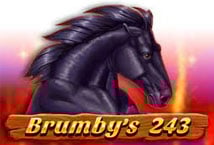 Brumby's 243 Logo