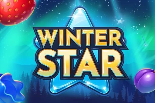 Winter Star Logo