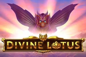 Divine Lotus Logo