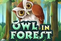 Owl In Forest Logo