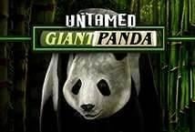 Untamed Giant Panda Logo