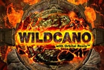 Wildcano Logo