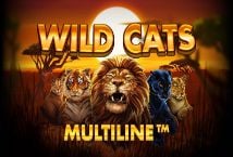 Wild Cats Multiline Logo