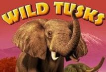 Wild Tusks Logo