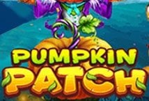 Pumpkin Patch Logo