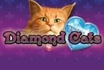 Diamond Cats Logo