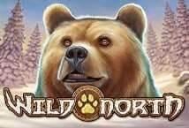 Wild North Logo