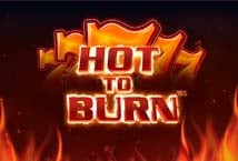 Hot To Burn Logo