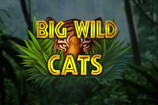 Big Wild Cats Logo