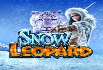Snow Leopard