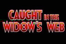 Caught in the Widows Web Logo