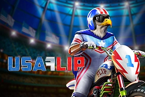 USA Flip Logo