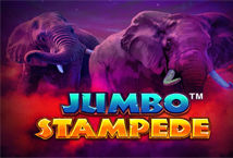 Jumbo Stampede Logo