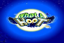What a Hoot Logo