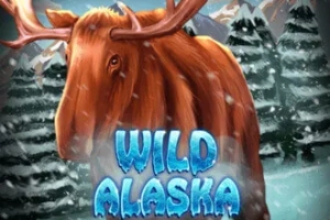Wild Alaska Logo