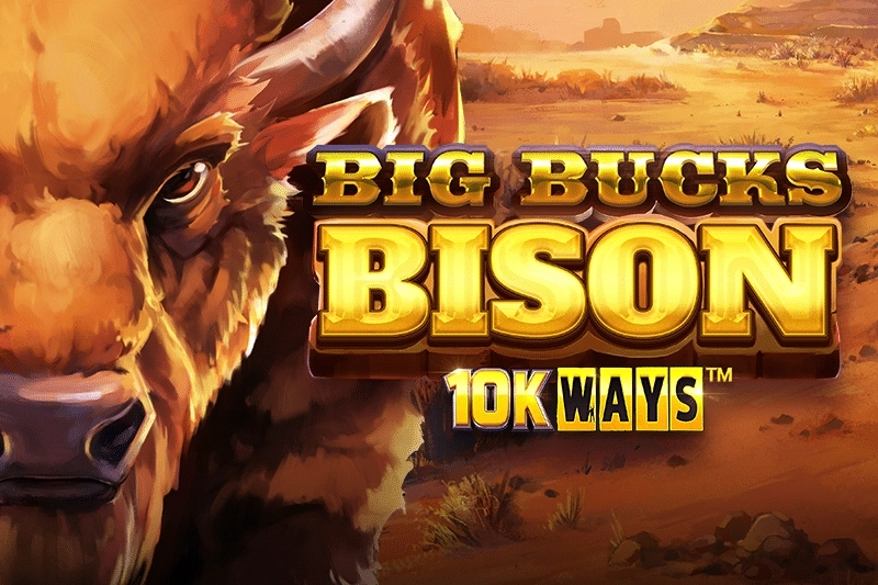Big Bucks Bison 10K Ways Logo