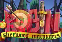Robin: Sherwood Marauders