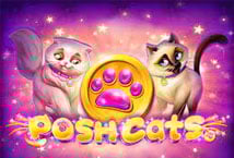 Posh Cats Logo