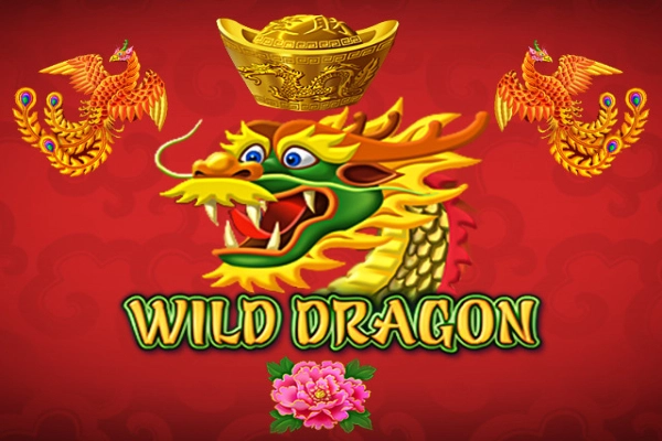 Wild Dragon Logo