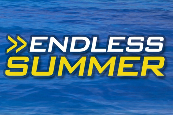 Endless Summer Logo