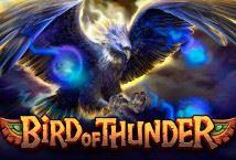 Bird of Thunder Logo