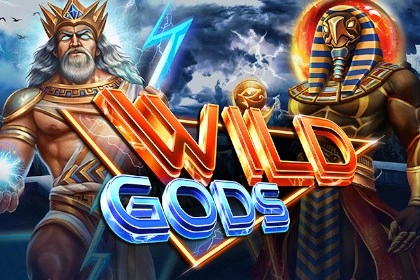 Wild Gods Logo