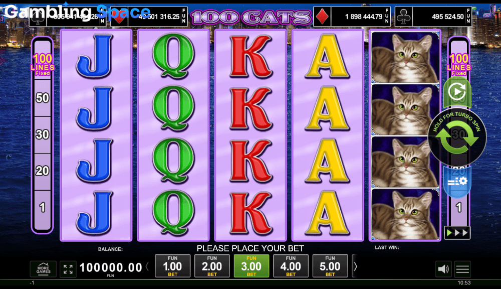 100 Cats – Screenshot 1