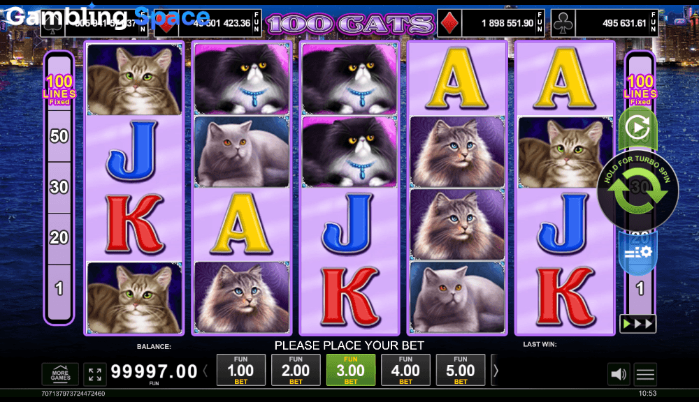 100 Cats – Screenshot 2