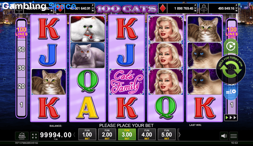 100 Cats – Screenshot 3