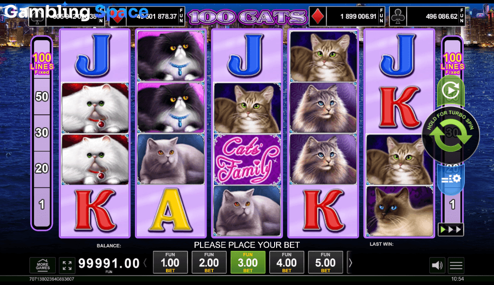100 Cats – Screenshot 4