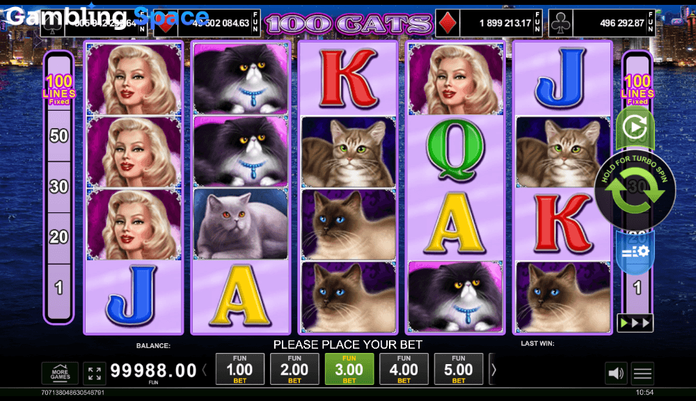 100 Cats – Screenshot 5